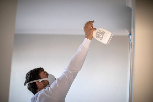Best Emergency Mold Remediation in Priest River, ID